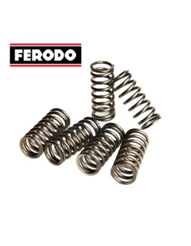 Muelles embrague Ferodo Moto FSS0113 | Motoauto