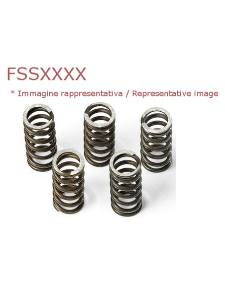 Muelles embrague Ferodo Moto FSS0414 | Motoauto