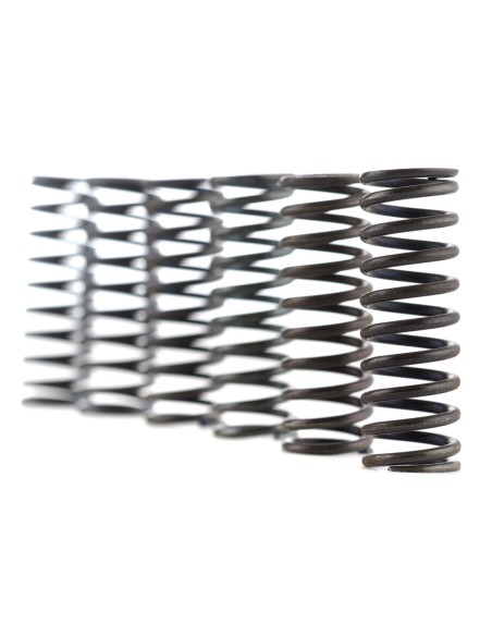 Muelles embrague Ferodo Moto FSS0518 | Motoauto