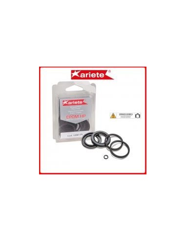 KIT REPARACION BOMBA GRIMECA 4755076344 | Motoauto
