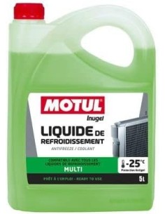 ANTICONGELANTE 111733 | Motoauto