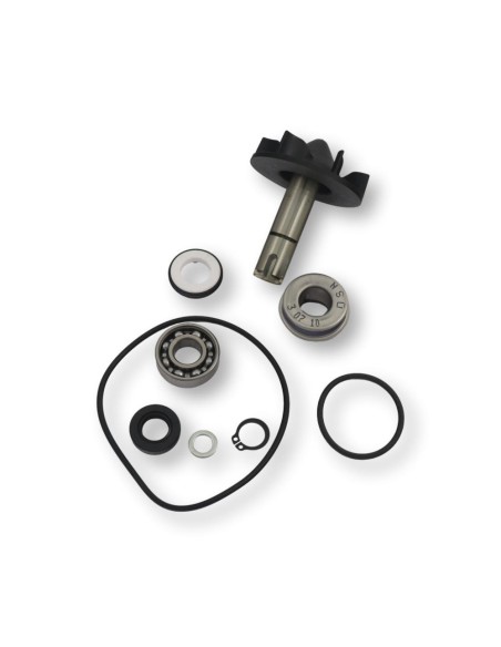 RMS Kit de reparacin de bomba de agua 100110420 | Motoauto