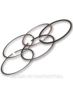 SEGMENTOS MALOSSI D.49 PIAGGIO LIBERTY 50 IGET