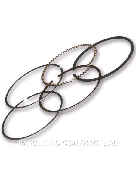 SEGMENTOS MALOSSI D.49 PIAGGIO LIBERTY 50 IGET