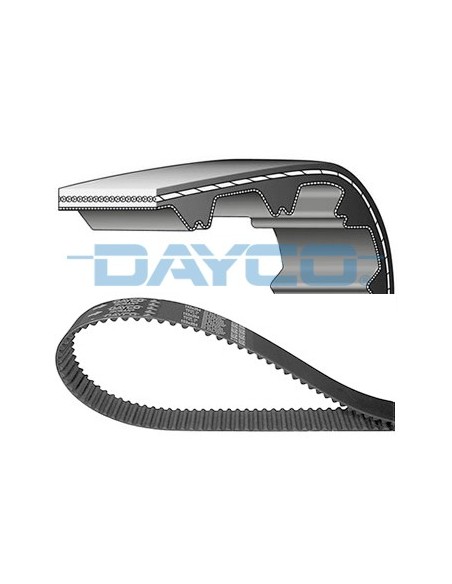 Correa bomba aceite Piaggio Skipper 125