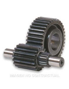 Desarrollo Secundario 14/43 Majesty 125
