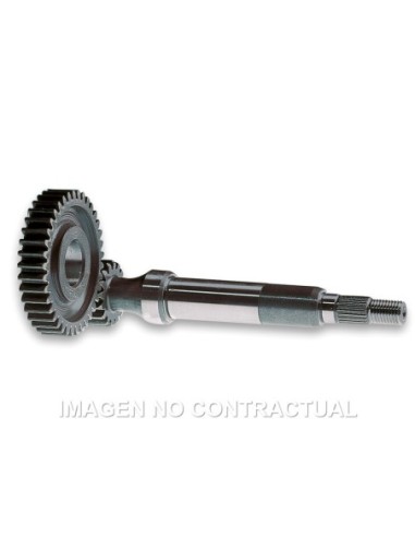 Desarrollo Eje Primario, Piñón Piaggio Zip Fast Rider