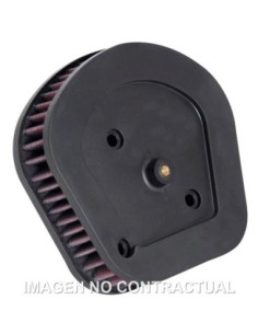 Filtro aire K&N Harley Davidson FLSL Softail Slim