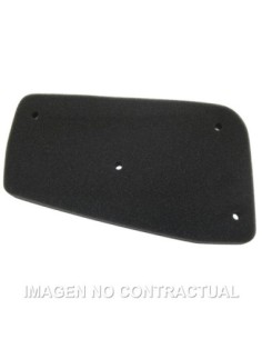 Filtro aire Meiwa Peugeot SV 100