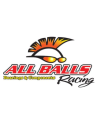 ALLBALLS